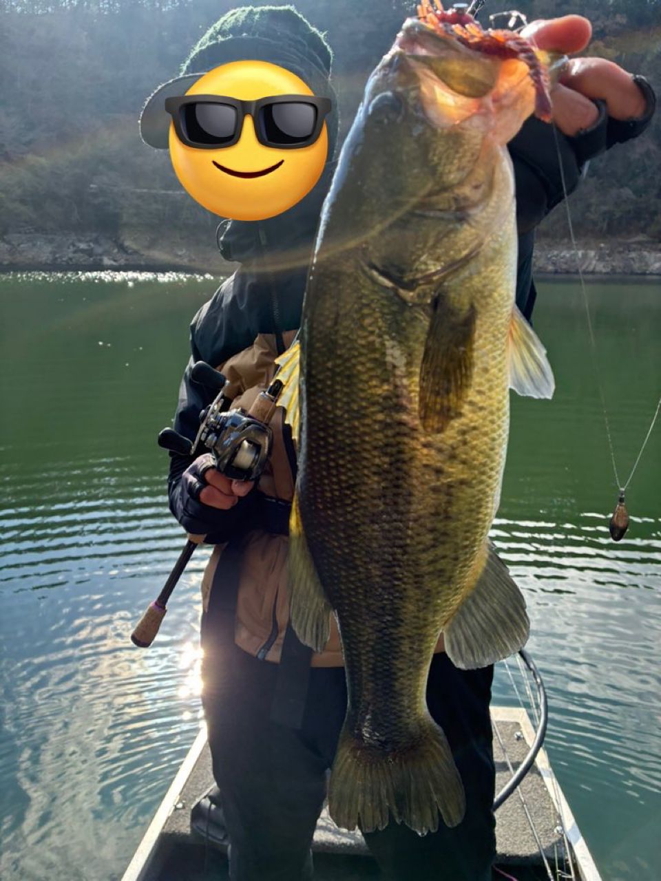 SHIMANO 20メタニウム HG LEFTの最安値・インプレ・釣果 | 本音の