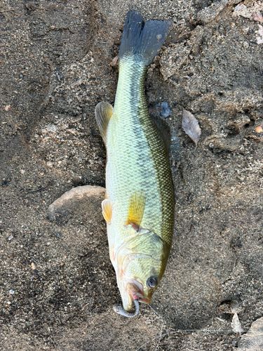 那珂川（福岡）