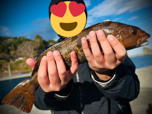 三陸海岸（岩手）