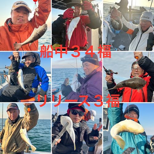 ショウサイフグの釣果