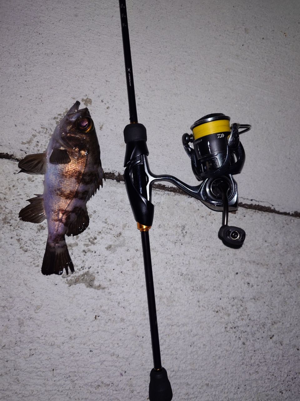 SHIMANO 23ソアレ BB アジング S610L-Sの最安値・インプレ・釣果