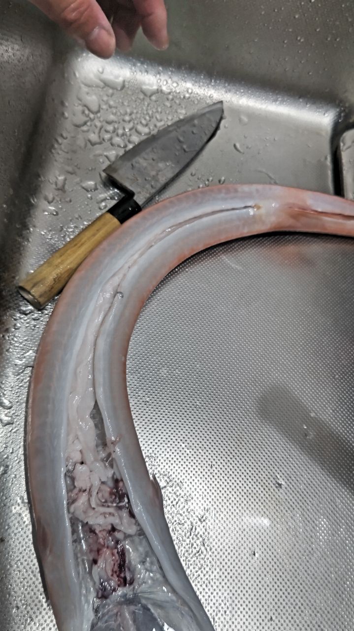 真水さんの釣果 3枚目の画像