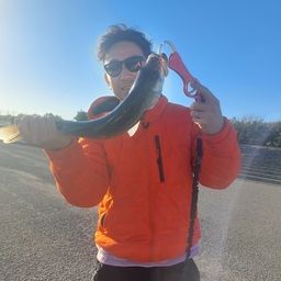 フッコ（マルスズキ）