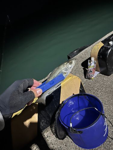 小浜港（福井）