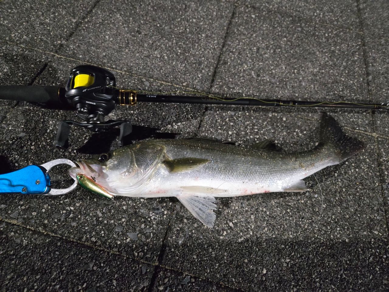 DAIWA 22シルバーウルフ SV TW PE スペシャル 1000XHの最安値