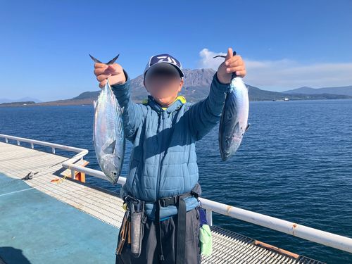 スマガツオの釣果