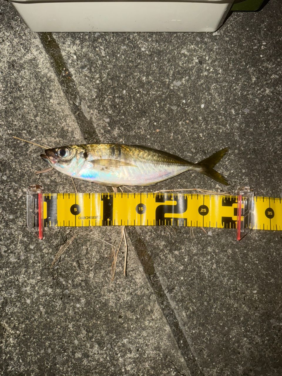 MajorCraft 鯵道 5G AD5-S622M/AJIの最安値・インプレ・釣果 | 本音の