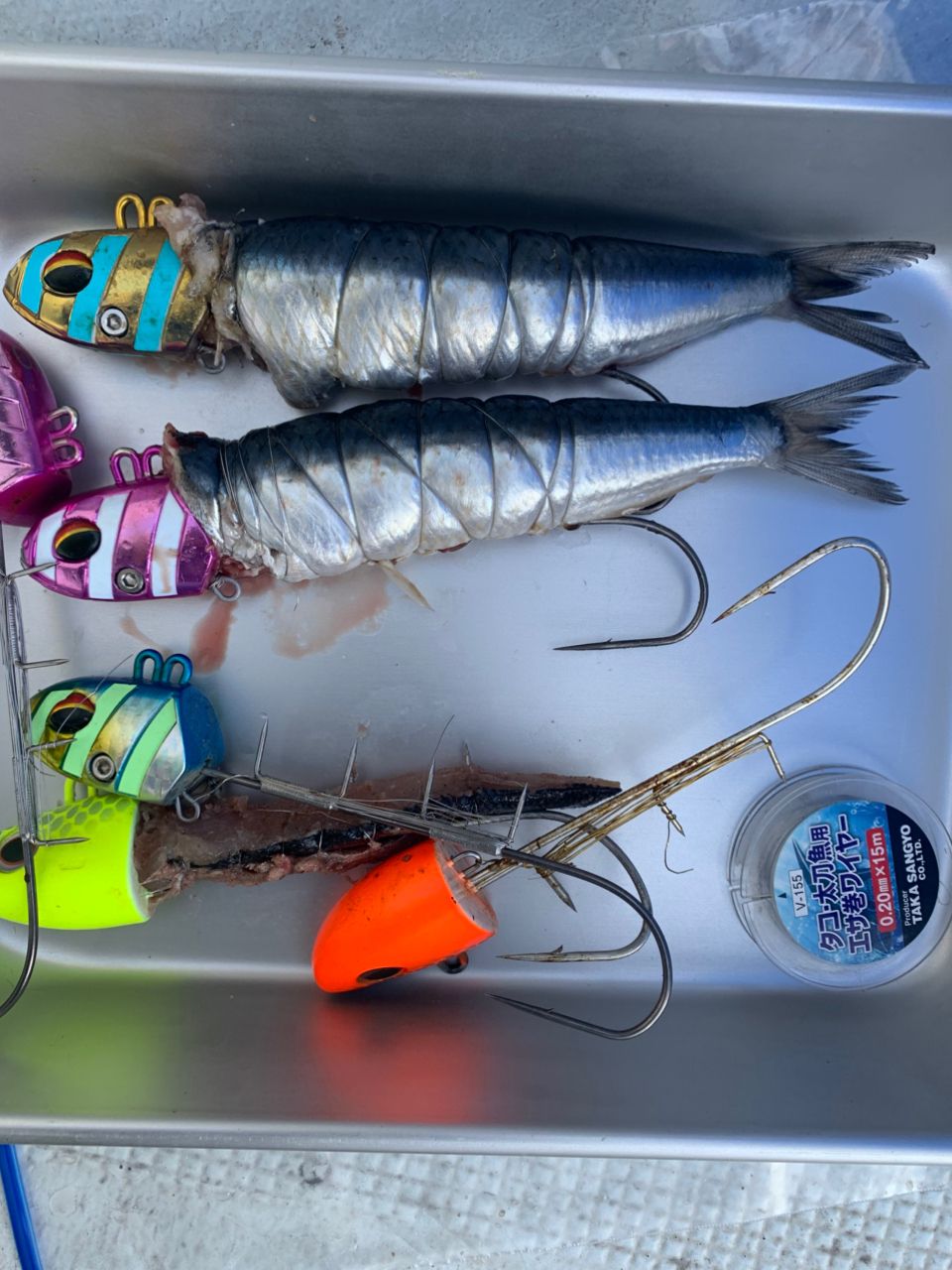 kunisanさんの釣果 2枚目の画像