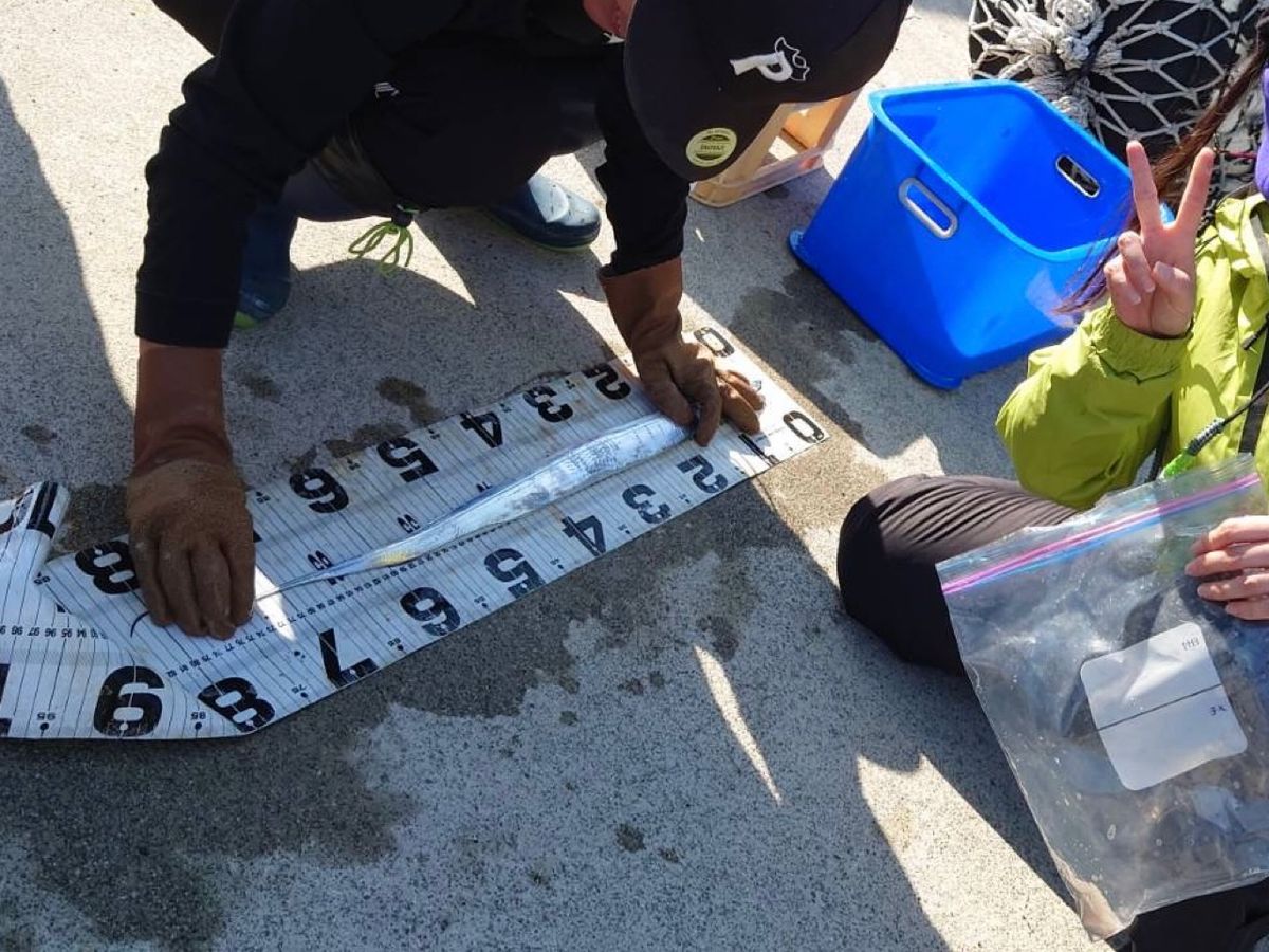 しらすうにさんの釣果 2枚目の画像