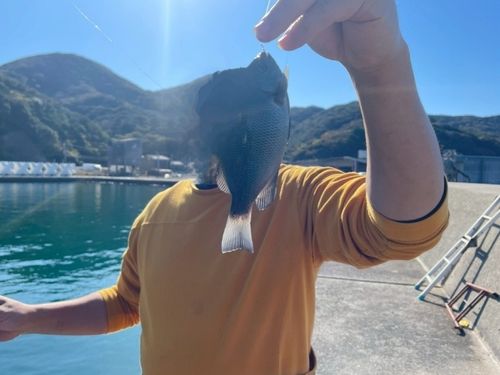 阿尾漁港（日高）