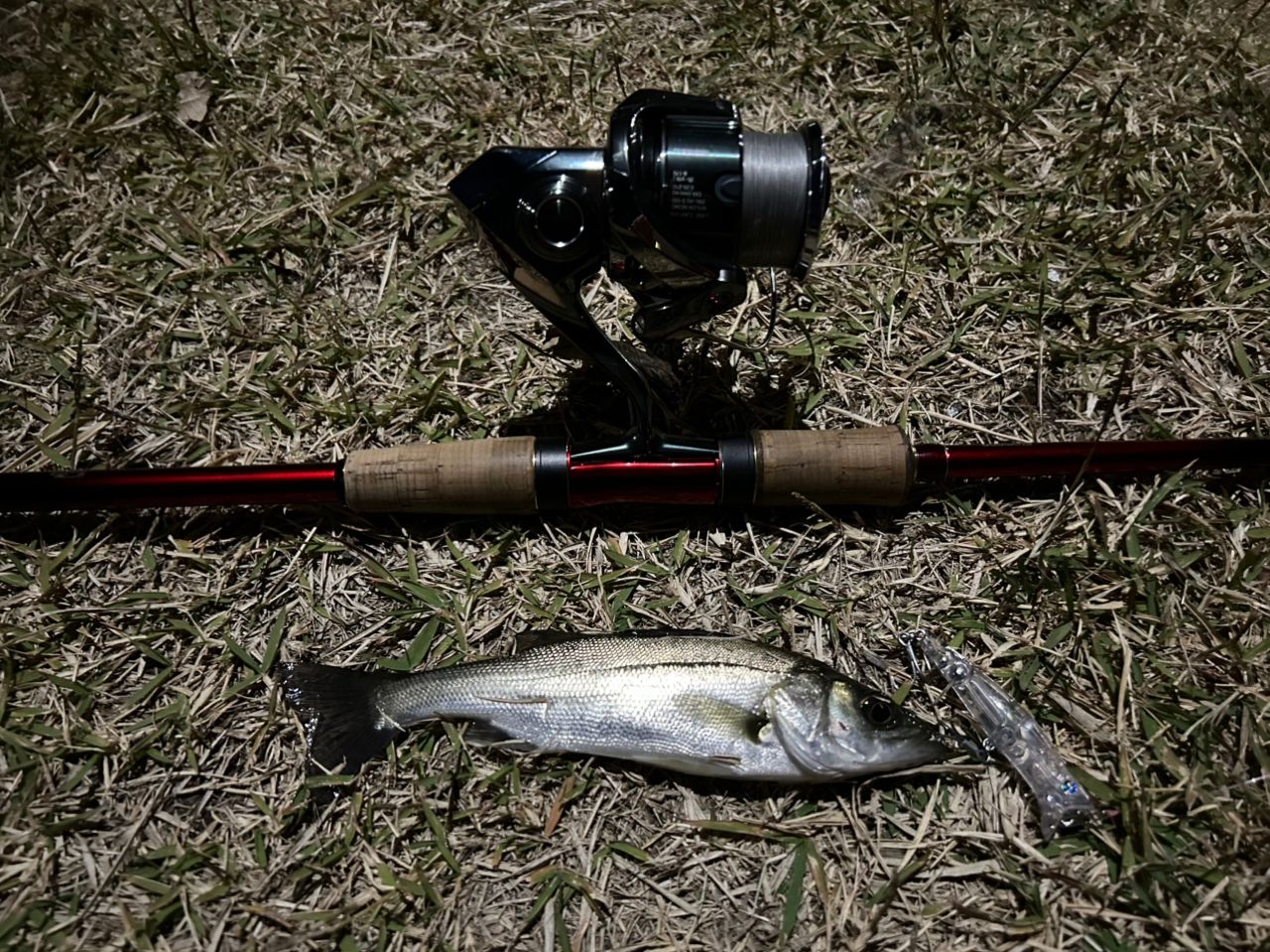 SHIMANO 18ワールドシャウラ 2832RS-2の最安値・インプレ・釣果 | 本音