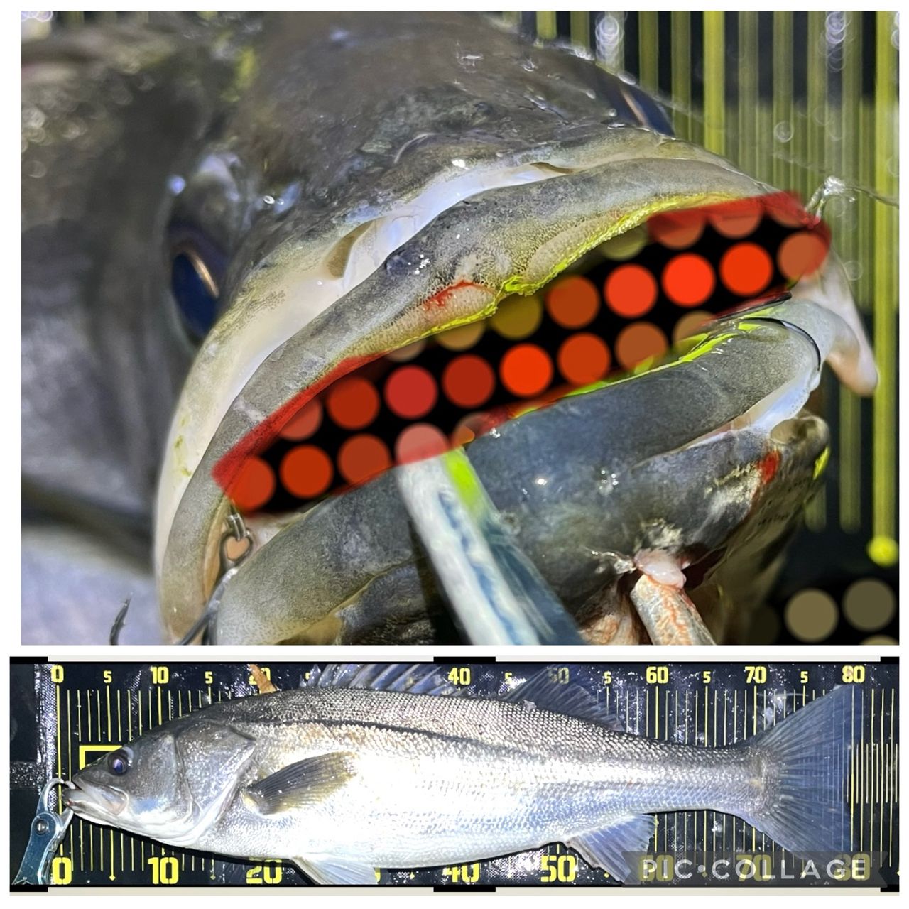 超美品 Foojin'Z GENEROUS 94M 超豪華ルアー付 お値下げ可！ Foojin'Z GENEROUS 94M フージンゼータジェネラス | ロッド,シーバス