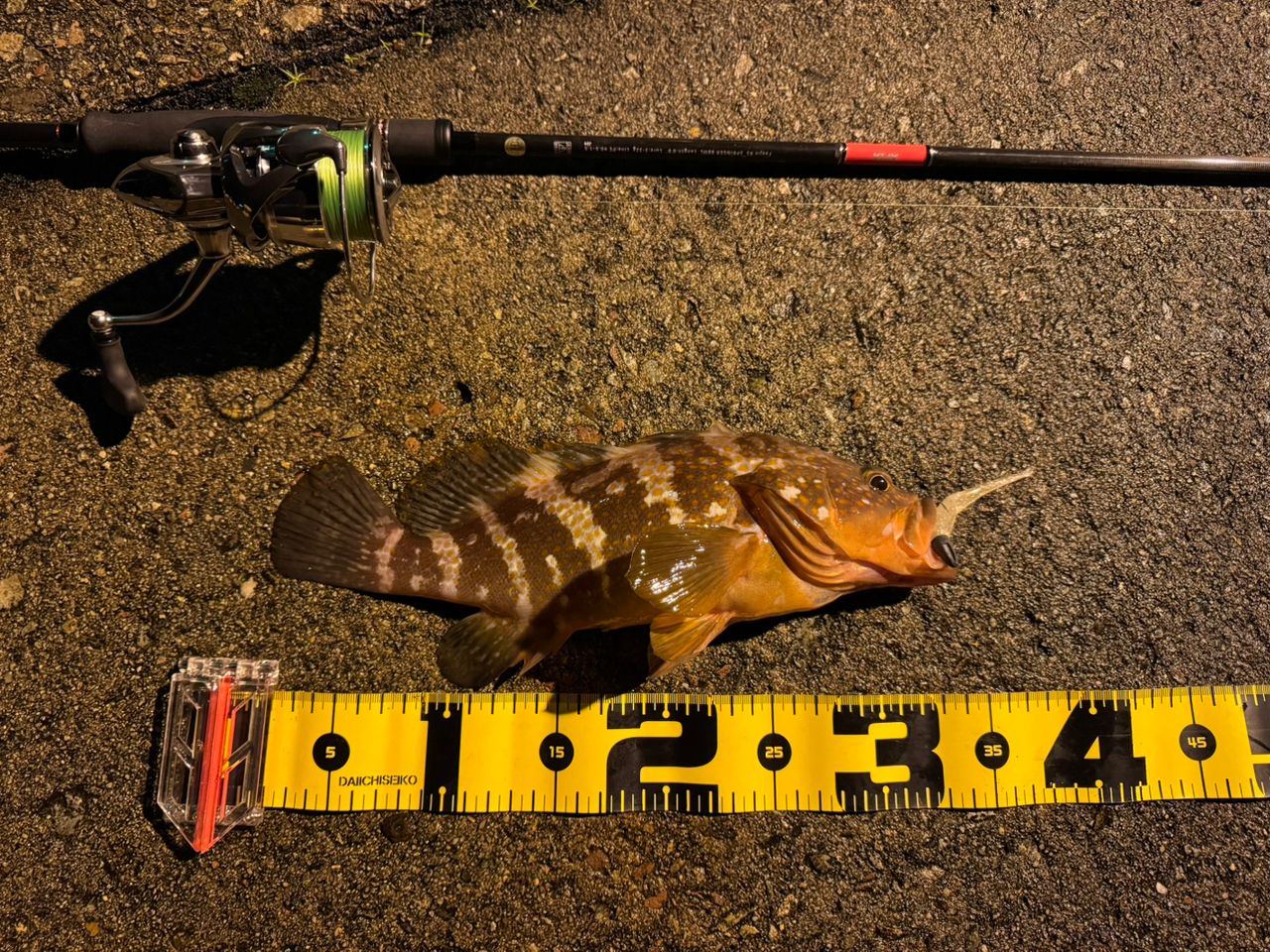 APIA 21フージン'RS 88MLの最安値・インプレ・釣果 | 本音の口コミ