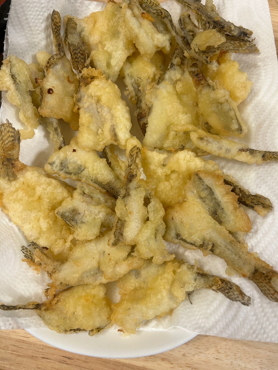 まみぞう★さんの釣果 2枚目の画像