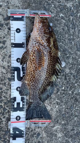 鴨池海づり公園