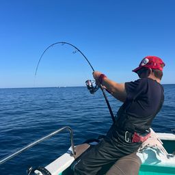 ビンチョウマグロ