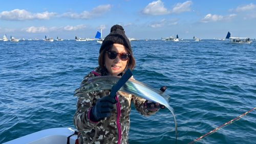 タチウオの釣果