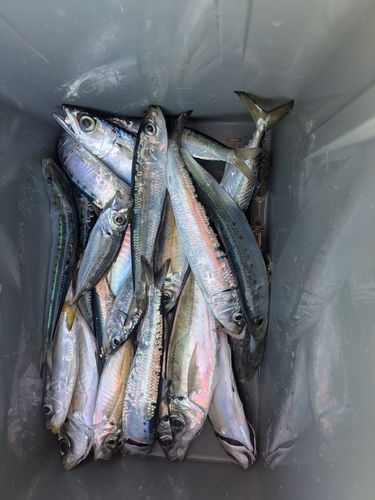 小名浜港アクアマリンふくしま周辺