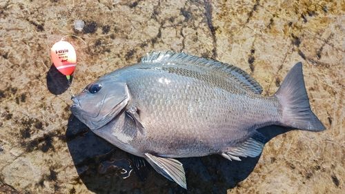 サザンビーチ付近