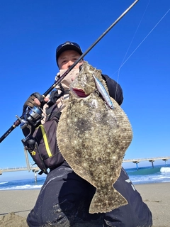 ヒラメの釣果
