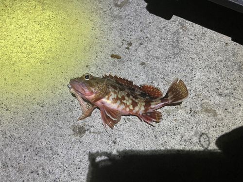 金沢水際線緑地（福浦岸壁）