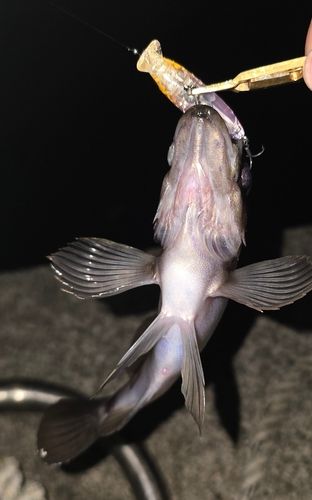 室浜漁港（宮戸島）