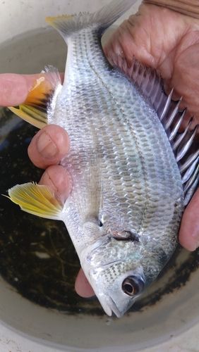 由良川河口（鳥取）