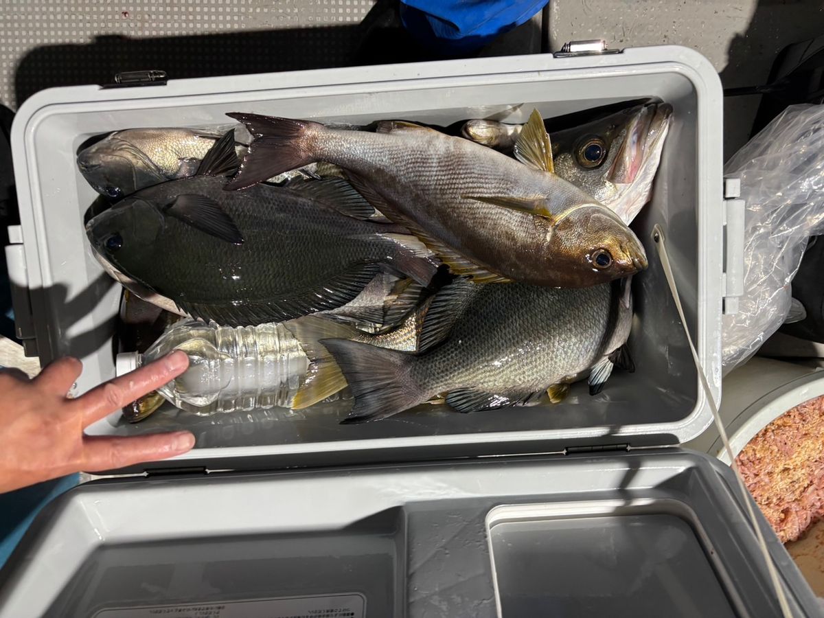 田畑良朗@なつき丸さんの釣果 2枚目の画像