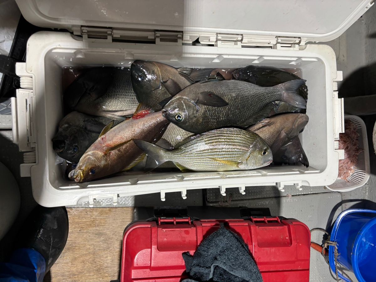 田畑良朗@なつき丸さんの釣果 3枚目の画像