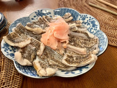 タチウオの釣果