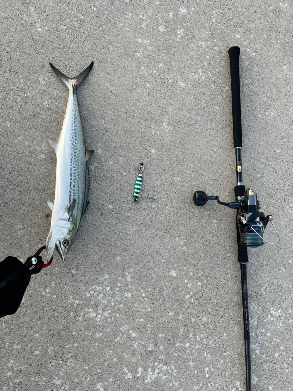 SHIMANO 22コルトスナイパーSS LSJ S100MLの最安値・インプレ・釣果