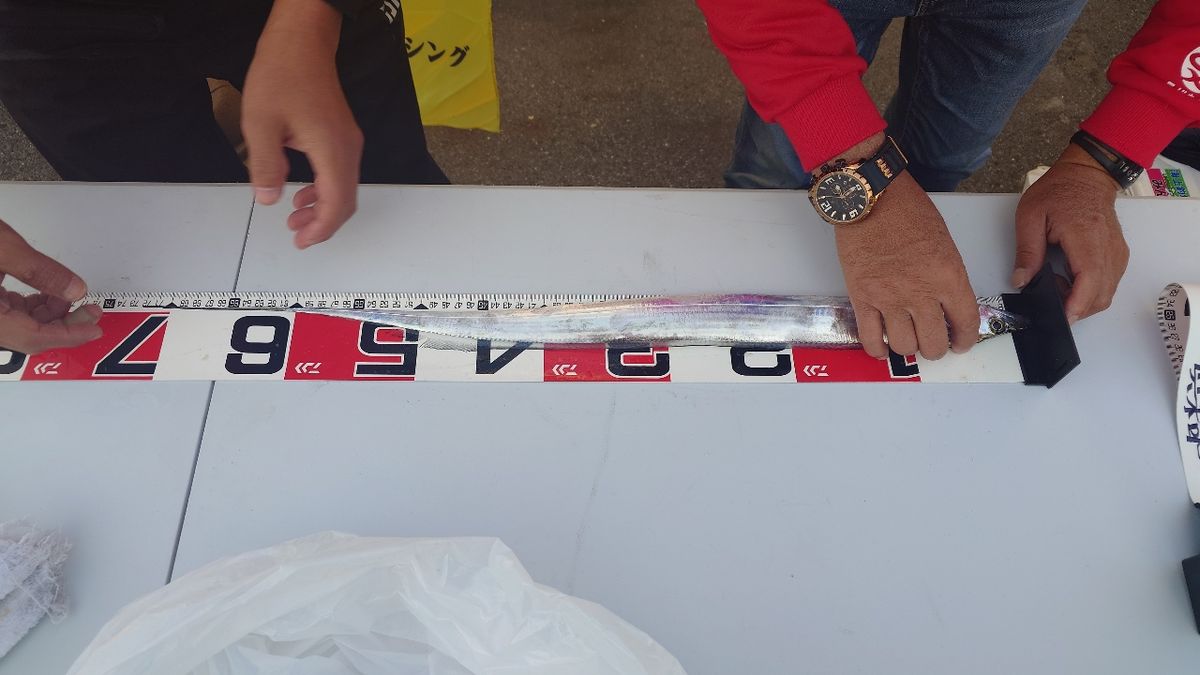 友っちさんの釣果 2枚目の画像