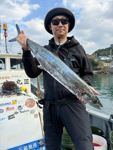 サワラの釣果