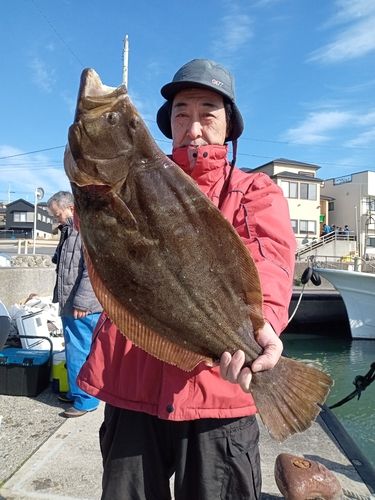 ヒラメの釣果