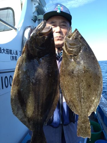 ヒラメの釣果