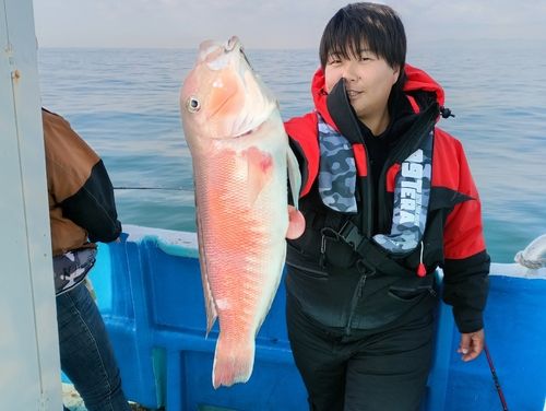 アマダイの釣果