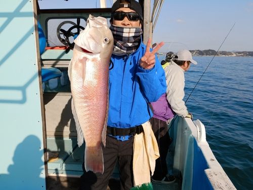 アマダイの釣果