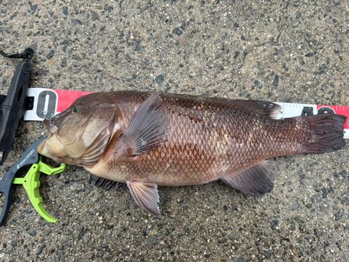 平磯海づり公園