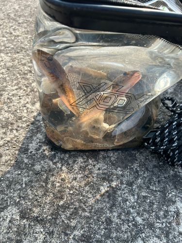 塩屋漁港（熊本）