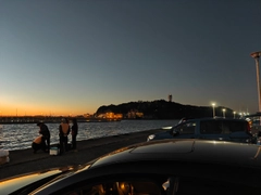 カワハギの釣果