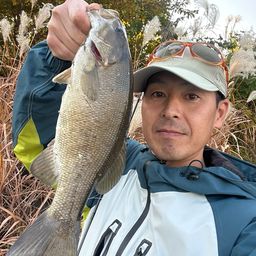 スモールマウスバス