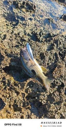 西原・与那原マリンパーク