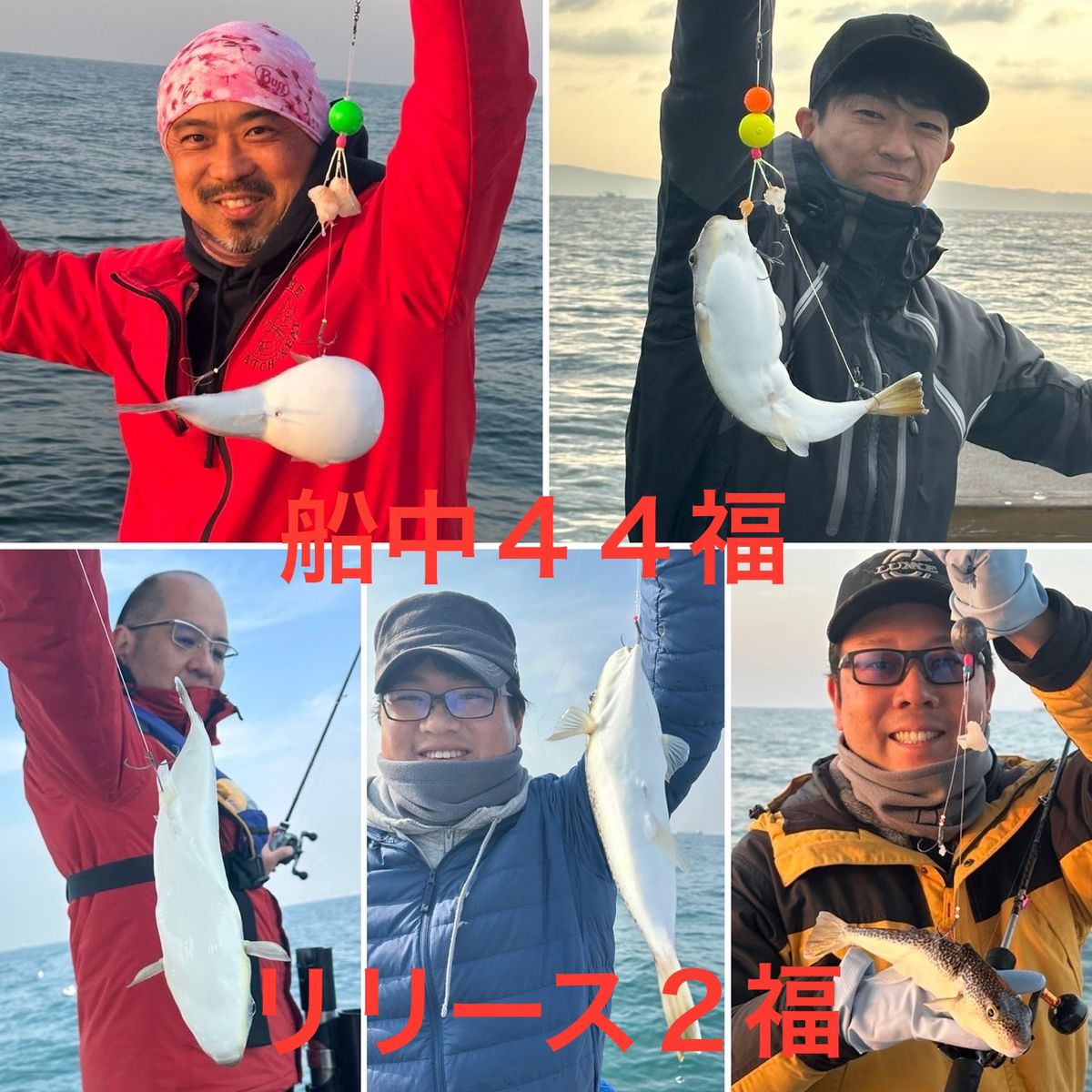 ショウサイフグ