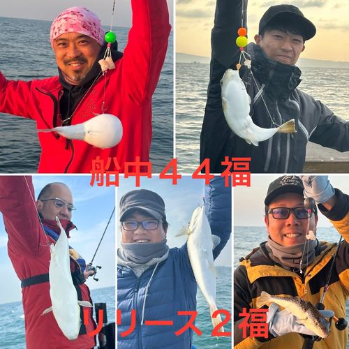 ショウサイフグの釣果