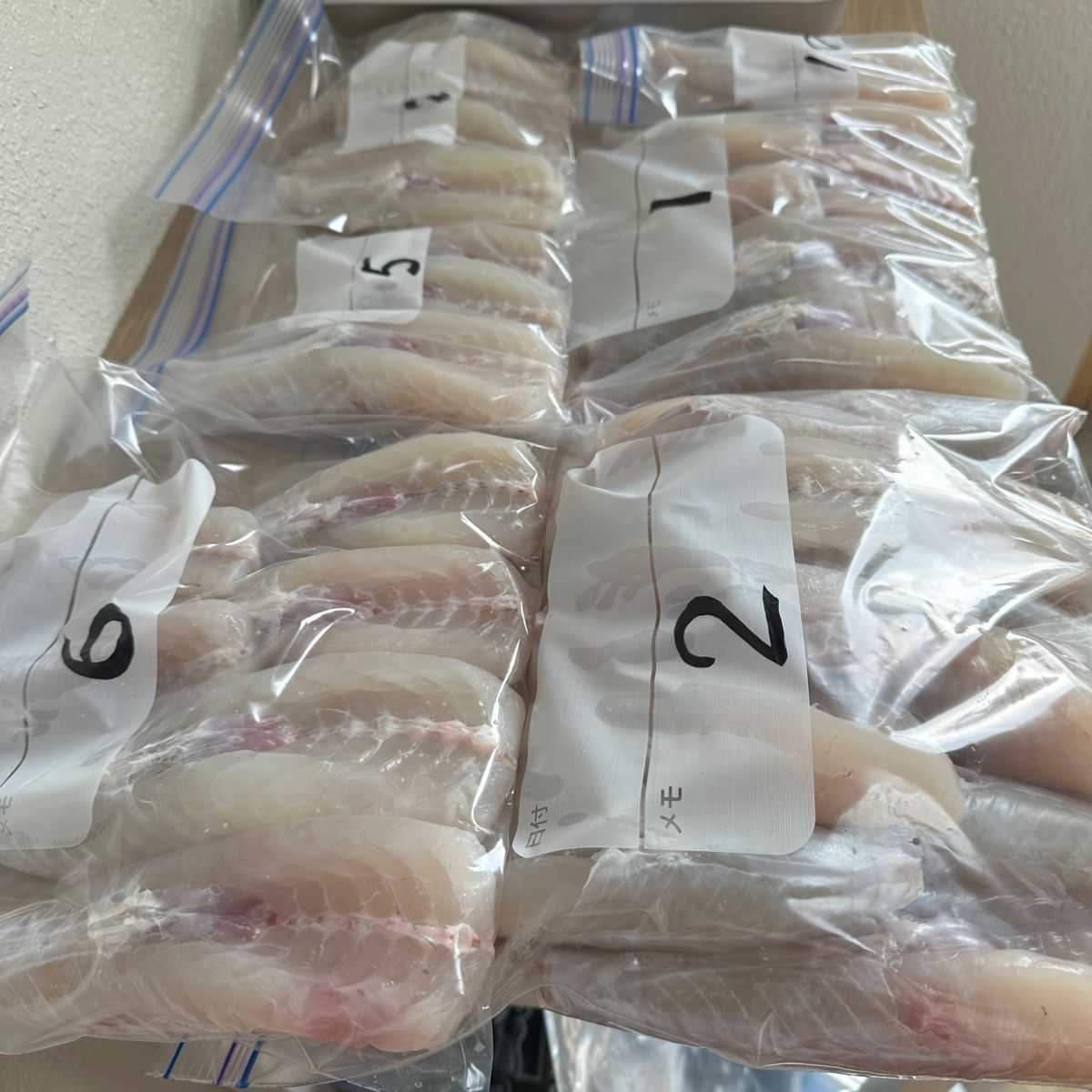 剛丸@古宮漁港さんの釣果 3枚目の画像