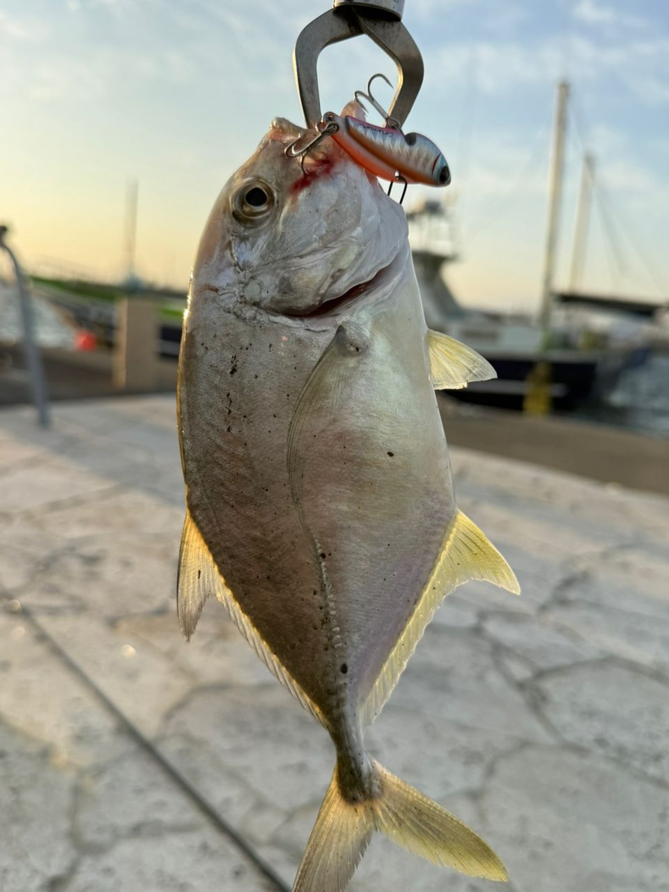 MajorCraft NEW ソルパラ シーバス SPX-902MLの最安値・インプレ・釣果