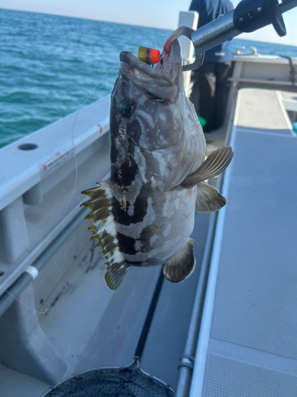 sato-5150さんの釣果 3枚目の画像