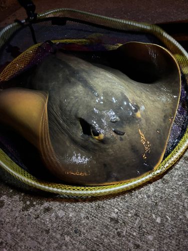 横浜沖堤防 旧赤灯