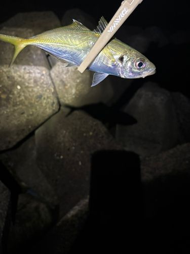 日吉原公共埠頭