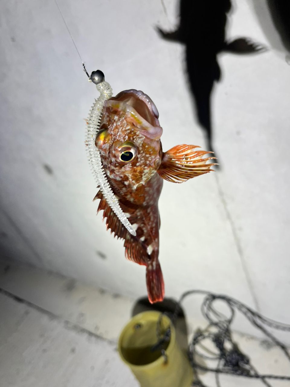 AbuGarcia ソルティーステージ プロトタイプ アジング XAJS-6102LSSの